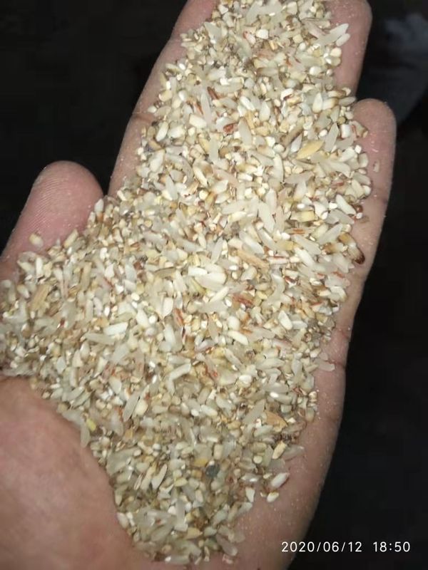 4000kg/H coció la luz del curso de la vida a medias LED de Mini Color Sorter Machine Long del arroz