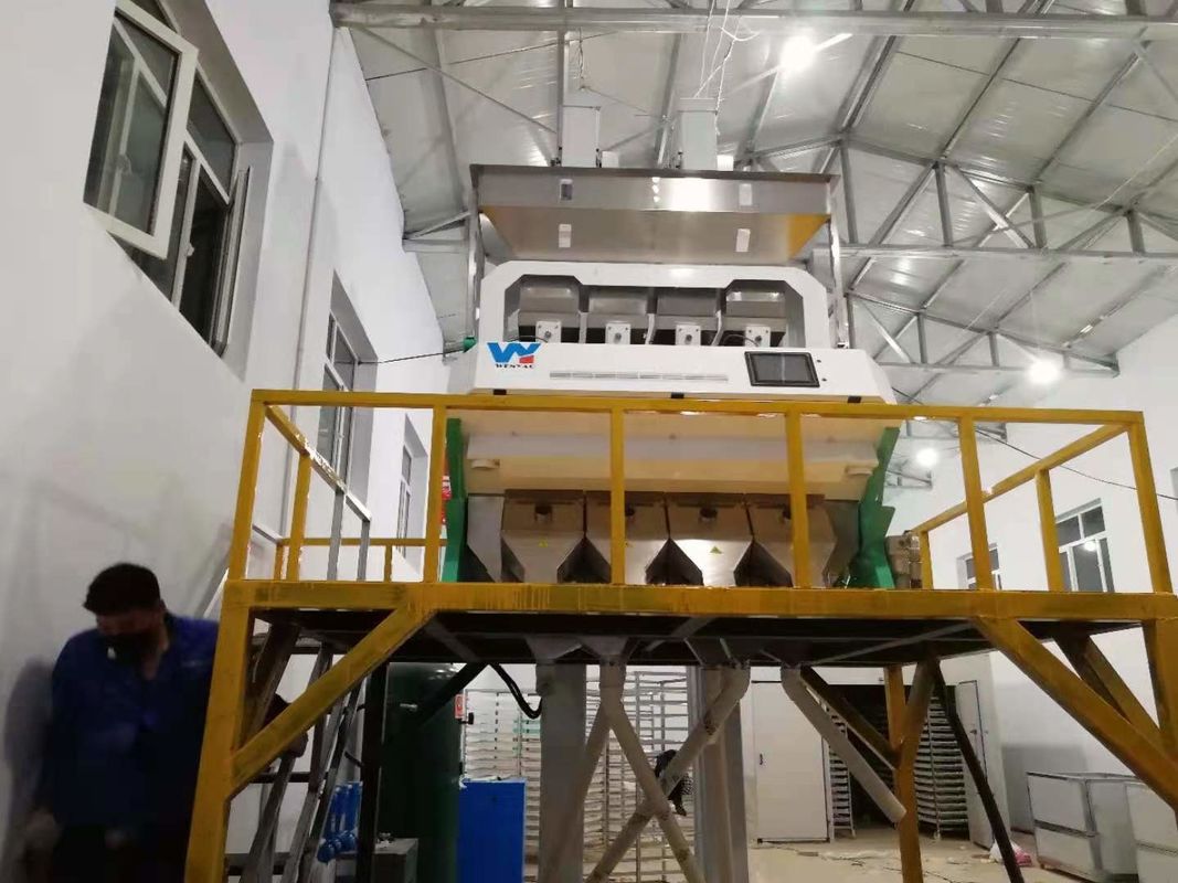 Los cacahuetes blanqueados partidos de la máquina del clasificador del color del cacahuete colorean la clasificadora