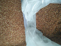 Exactitud del arroz del color del CCD alta de la máquina roja del clasificador en el equipo de Procesising del arroz 99,9%
