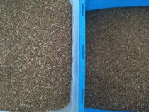 Exactitud del arroz del color del CCD alta de la máquina roja del clasificador en el equipo de Procesising del arroz 99,9%