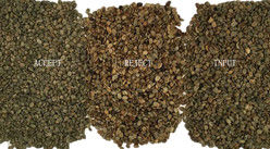 Wenyao 1 Chute 500kg/h Separador de color de CCD de alto rendimiento Granos de café tostados Máquina de clasificación de color Granos verdes