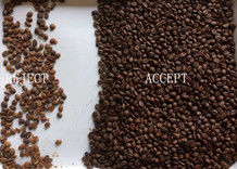 Sortidor de colores de granos de café de precisión con lente Nikon de Japón Tecnología avanzada de aprendizaje profundo