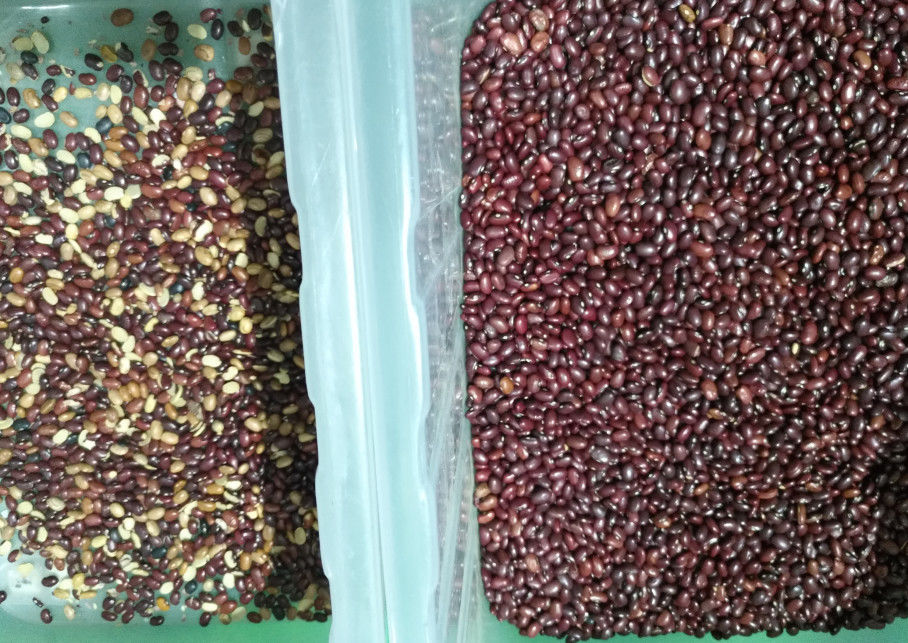 5400 pixel Mini Beans Color Sorter, clasificadora de la soja 800kg/H
