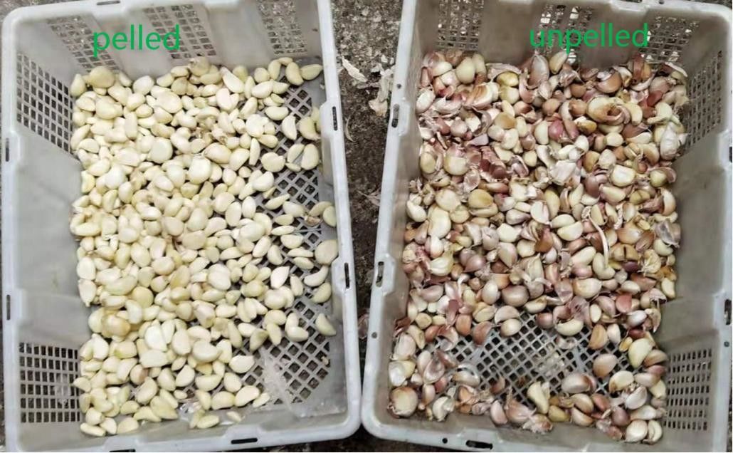 El CCD vegetal deshidratado de la clasificadora quita el corazón al sensor inteligente