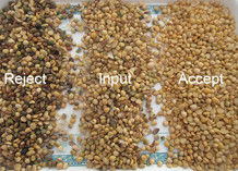 Clasificador del color de la soja de la clasificadora de la soja para la planta Bean Processing Equipment del aceite y de comida