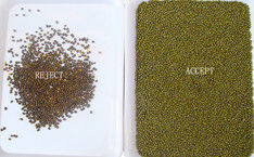Las habas multifuncionales de Mung Bean Color Sorter Machine Green Mung colorean la clasificación de la máquina de Sorte del color de las habas