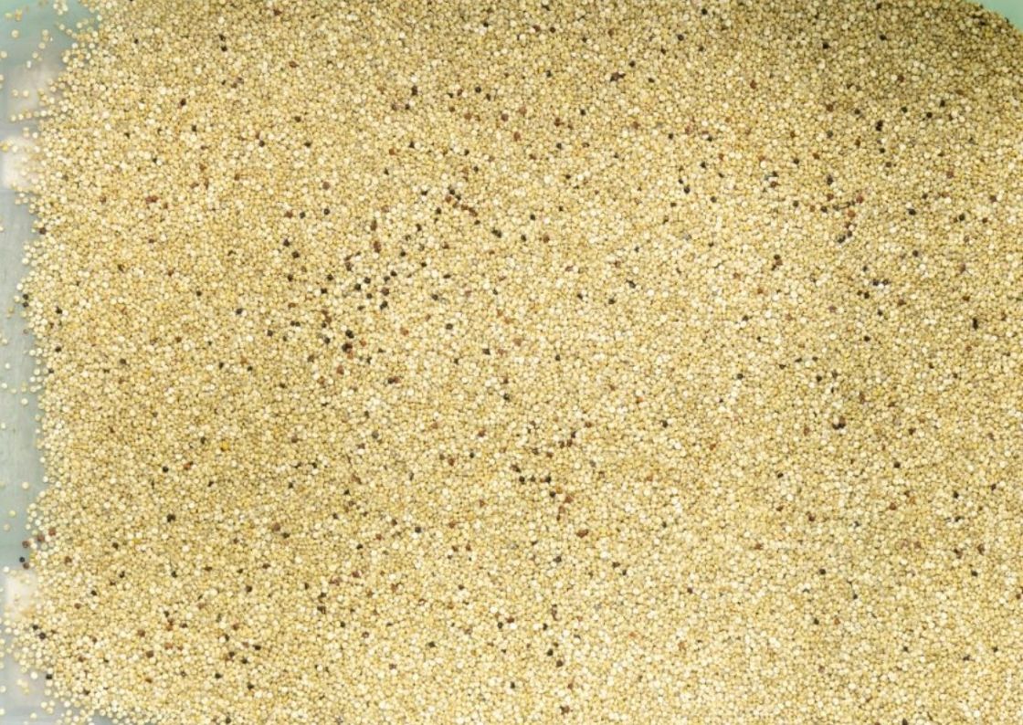 WENYAO Multifunction Color Sorter, clasificador del color del grano de avena de la quinoa