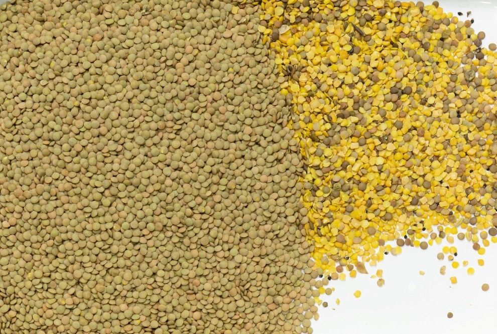 Máquina de clasificación de colores multifunción de alta precisión para granos de café, cacao, granos de cacao y trigo