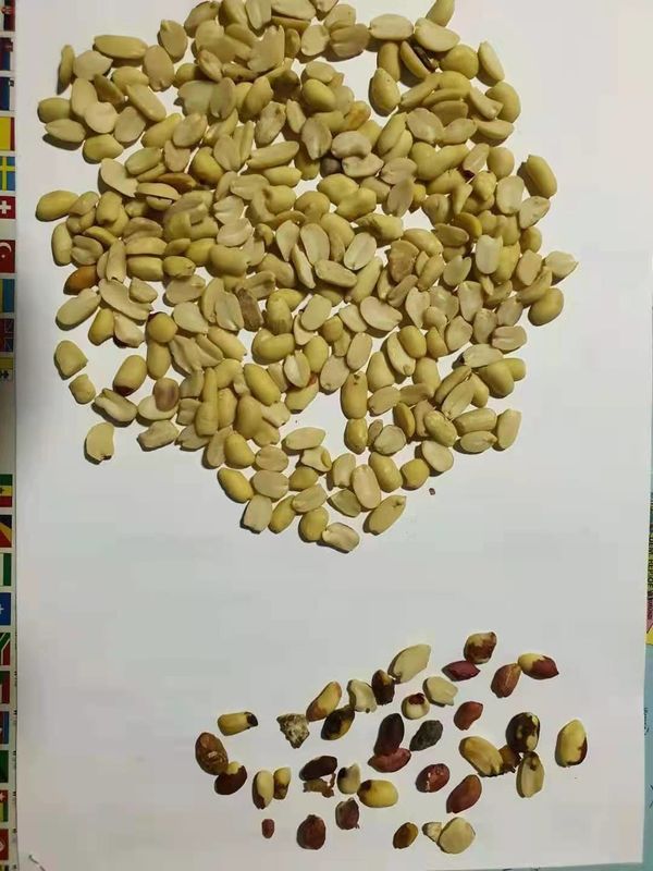 Los cacahuetes blanqueados partidos de la máquina del clasificador del color del cacahuete colorean la clasificadora