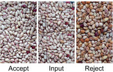 Sortidor de colores de soja Pules Selector de clasificación Máquina de selección de semillas de soja verde Negro Sohum