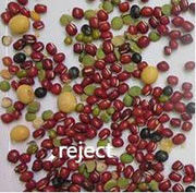 Separador inteligente rojo del color del CCD de Bean Color Sorting Machine Automactic del clasificador del color