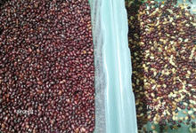 Separador inteligente rojo del color del CCD de Bean Color Sorting Machine Automactic del clasificador del color