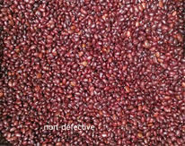 Separador inteligente rojo del color del CCD de Bean Color Sorting Machine Automactic del clasificador del color