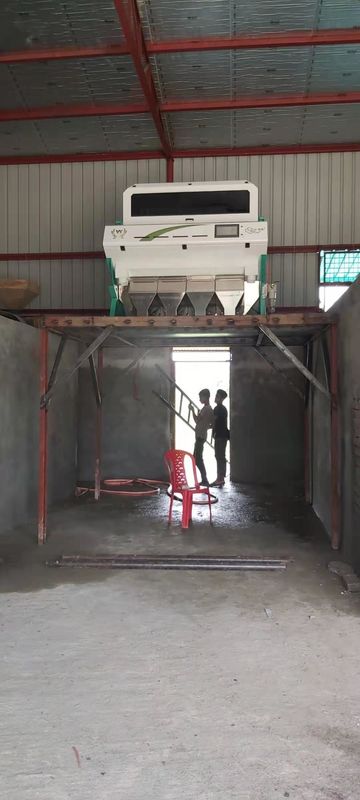 240V 50Hz asó el microprocesador de proceso de alta velocidad de Bean Sorting Machine del café