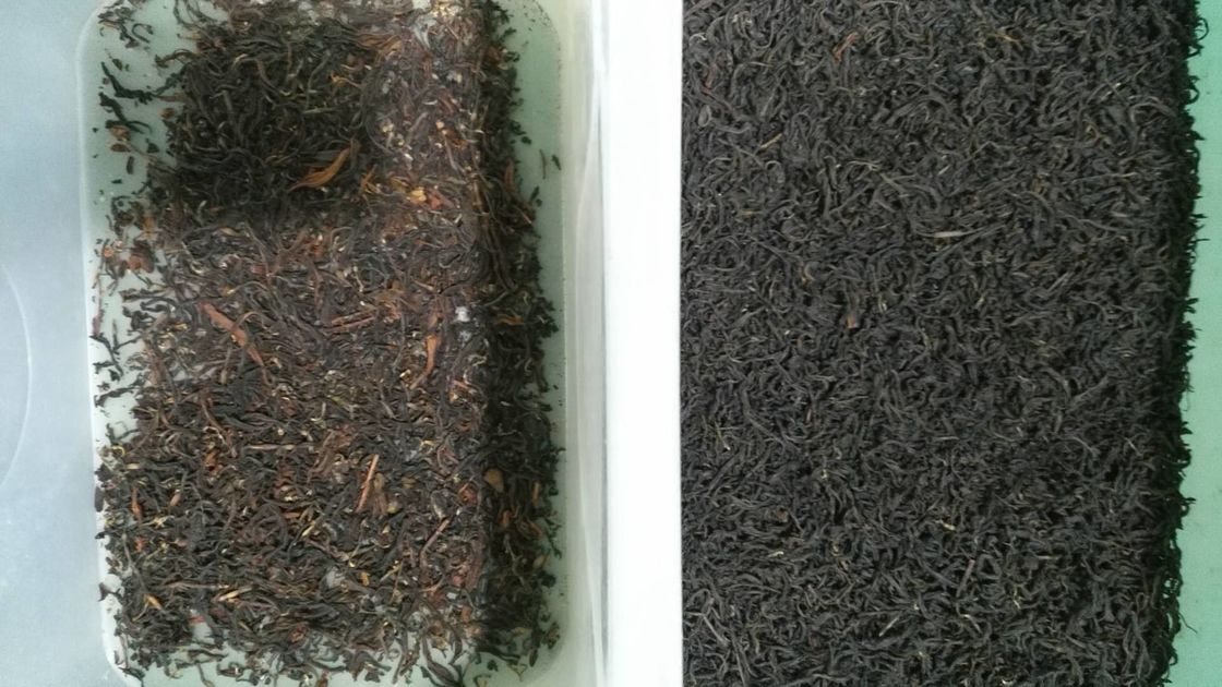 Máquina de WENYAO Flower Tea Color Sorter para la selección amarilla de los palillos