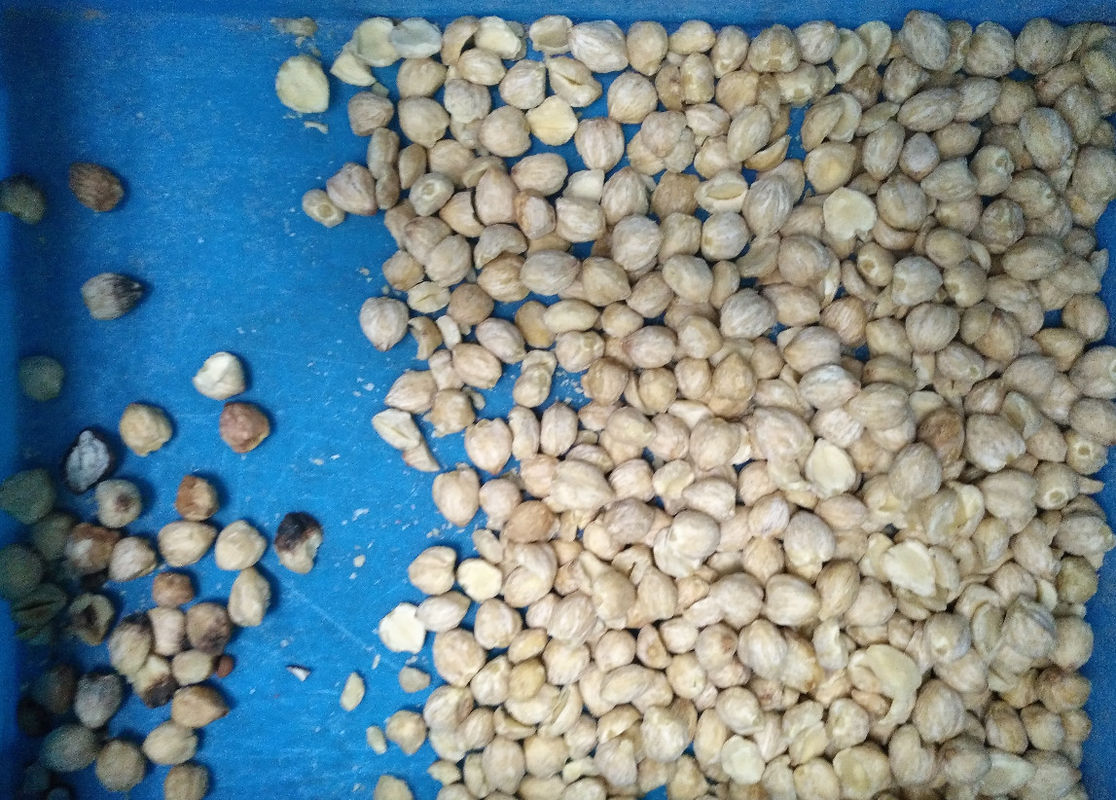 Máquina de separación de color de coco de anacardo de nuez clasificadora de color de nueces CCD de nuevo diseño 2023