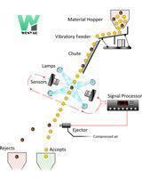 WENYAO Wheat Sorting Machine, clasificador óptico del color del CE para la segadora del trigo