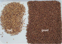 Proveedor de Clasificadoras Ópticas Mini de Máquinas Agrícolas Wenyao para Trigo