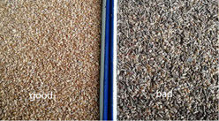 Quinua inteligente de la avena del trigo del clasificador del color del alforfón que separa las cámaras inclinadas 6 de la máquina 3