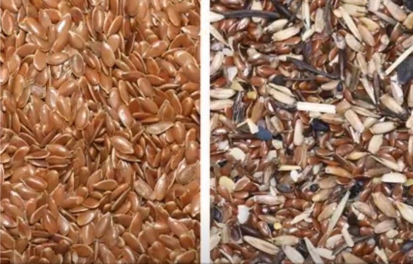El sésamo de la máquina de Flax Seed Sorting del fabricante siembra el equipo agrícola del clasificador del color