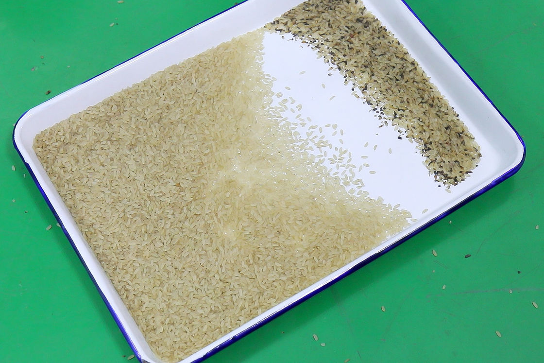 Máquina multiusos del clasificador del color de 5 canales inclinados para el color de Bean Plastic Nut Grain Mineral del arroz que clasifica con los recambios