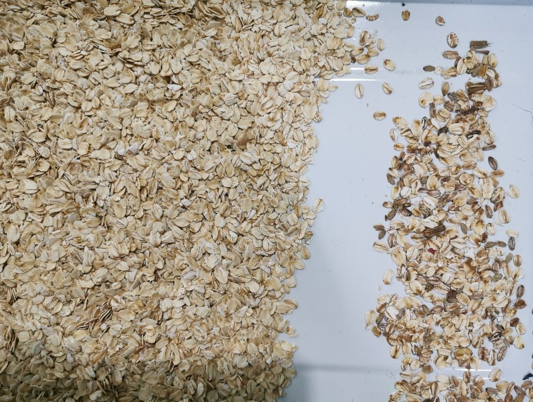 Máquina de alto rendimiento del color del clasificador de la avena con el clasificador óptico del color del CCD