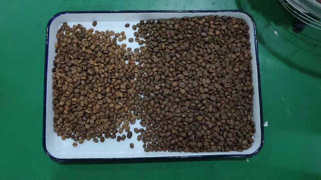 240V 50Hz asó el microprocesador de proceso de alta velocidad de Bean Sorting Machine del café