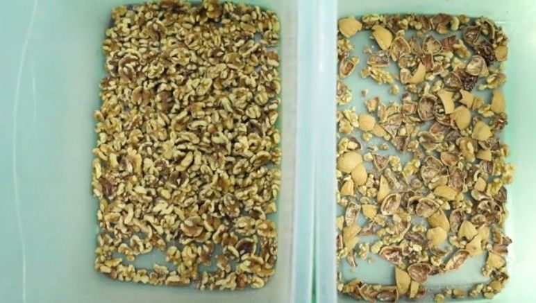 2 canales inclinados 128 canalizan al clasificador del color de las nueces, WENYAO Walnut Color Sorter