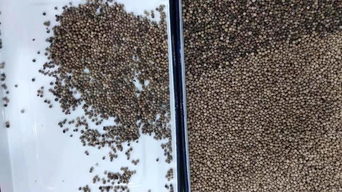 El clasificador automático del color del grano del CCD, 3t/h sazona la clasificadora con pimienta