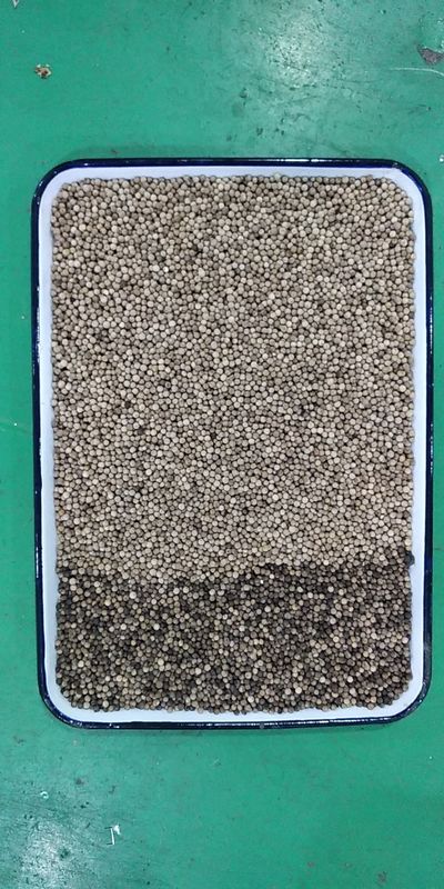 El clasificador automático del color del grano del CCD, 3t/h sazona la clasificadora con pimienta