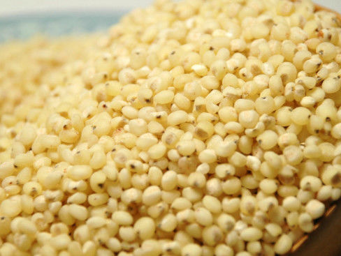 Wenyao Grain Color Sorter, CE ISO9001 de la clasificadora de la zahína