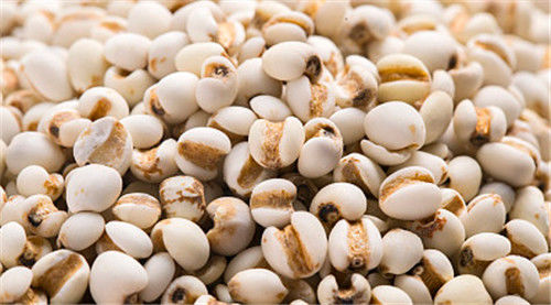 Máquina del clasificador del grano de WENYAO High Precision Wheat Corn con capacidad superior