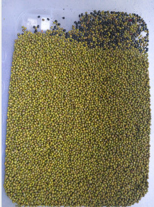 Máquina de clasificación de color de soja / frijoles rojos / frijoles de manzana / frijoles de café totalmente automática