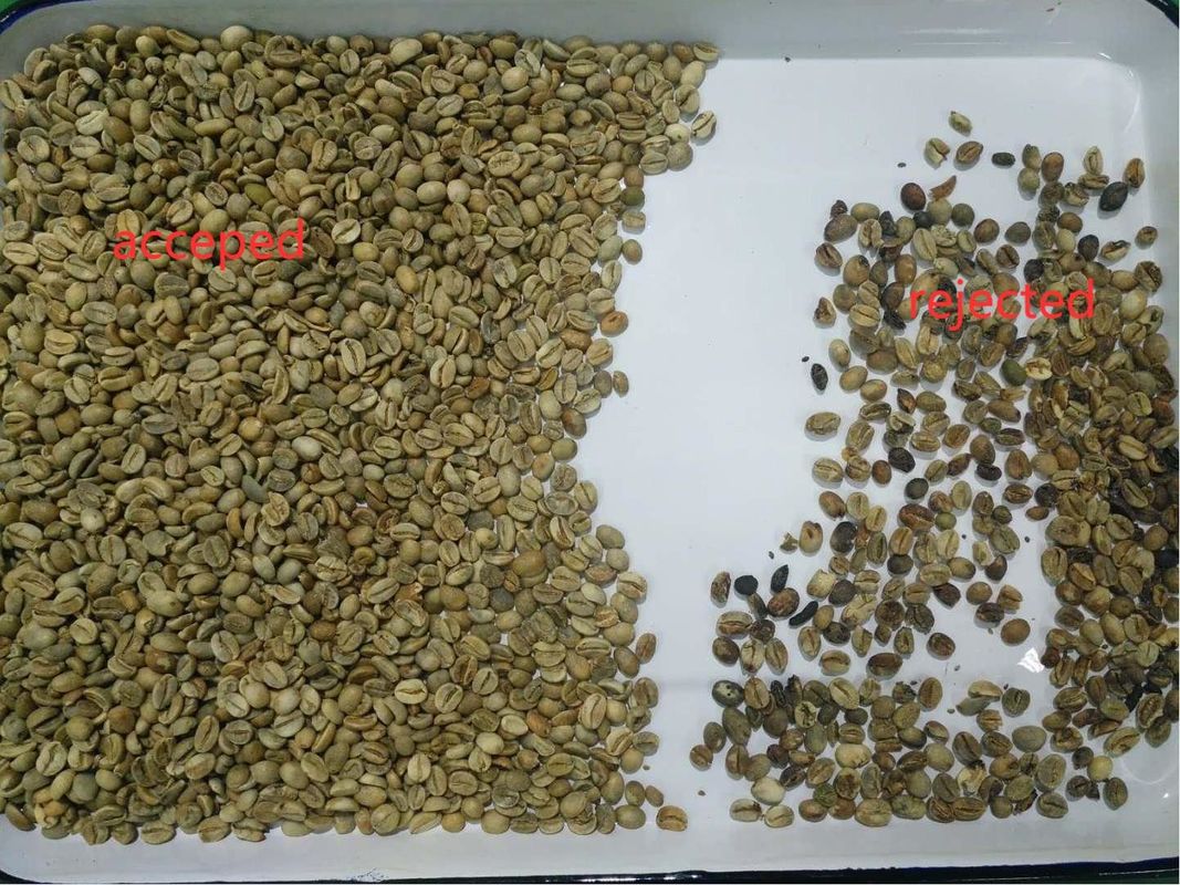 5400 pixeles Mini Coffee Bean Color Sorter   Con alta exactitud