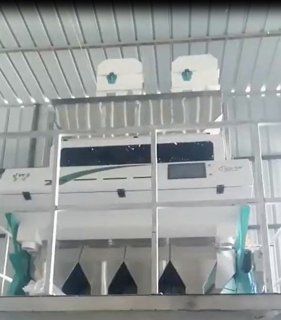 Máquina inteligente del clasificador del grano del CCD, clasificadora de las habas del CE ISO9001