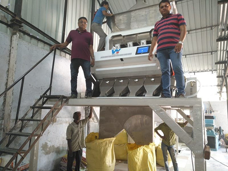 Máquina eléctrica del clasificador del color del cacahuete del clasificador del color del grano de la máquina del clasificador del color de la nuez