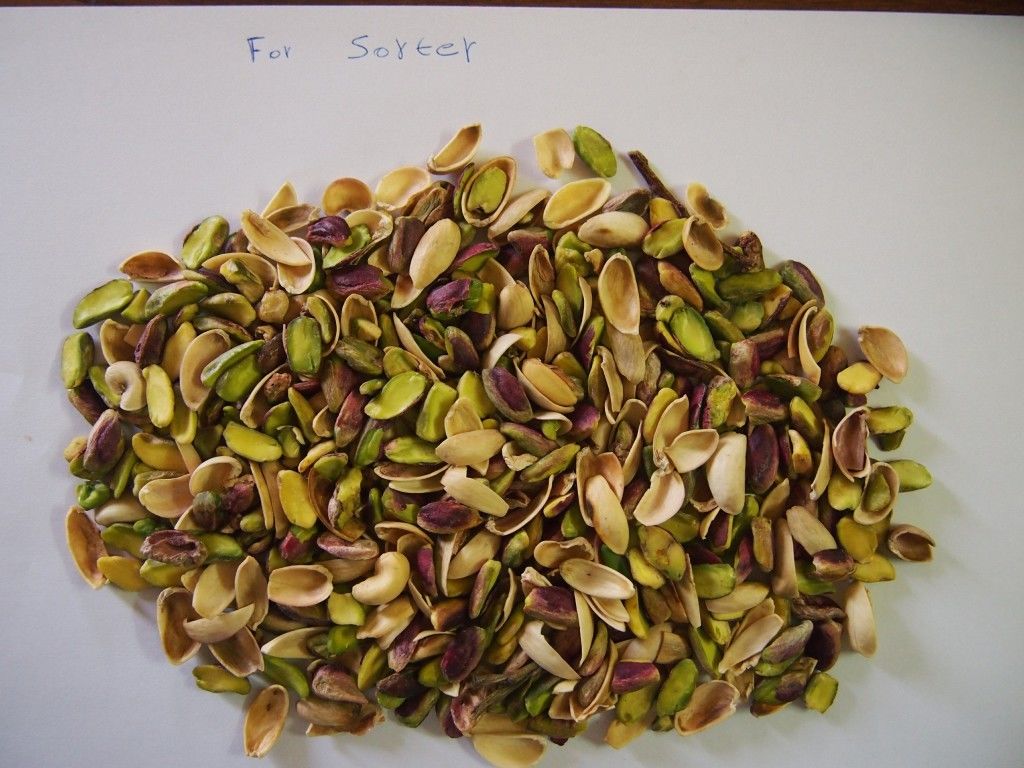 Maquinaria inteligente automática del clasificador del color de la nuez de pistacho de WENYAO In Fefei China