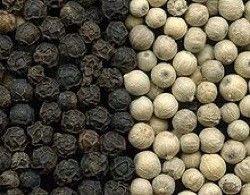 WENYAO Mini Color Sorter, clasificadora roja blanca de la pimienta negra del CE