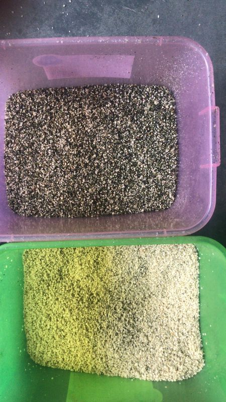 China Venta caliente Máquina inteligente automática de clasificación de color de semillas de cilantro de cebada Wehat