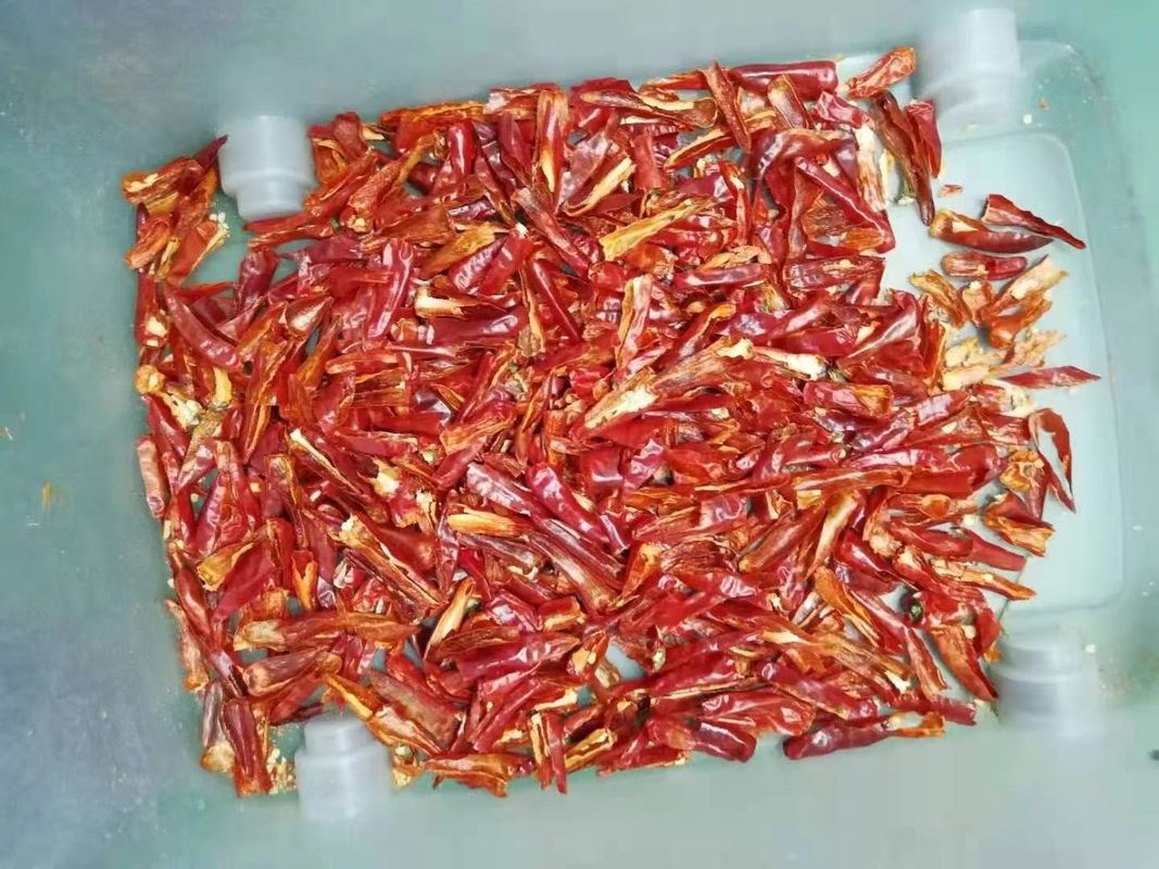 2 canales inclinados 128 canalizan el CE de Chili Sorting Machine aprobado para la pimienta