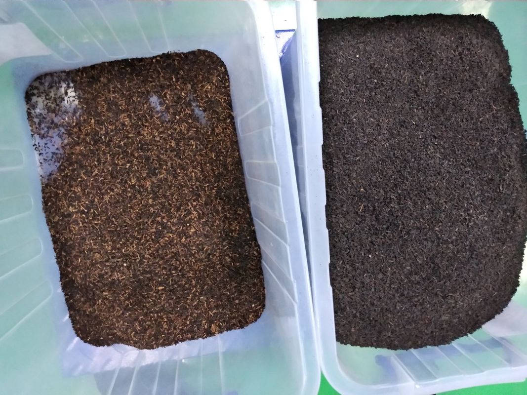 Sensor inteligente de la base del CCD de Rose Flower Tea Colour Sorter