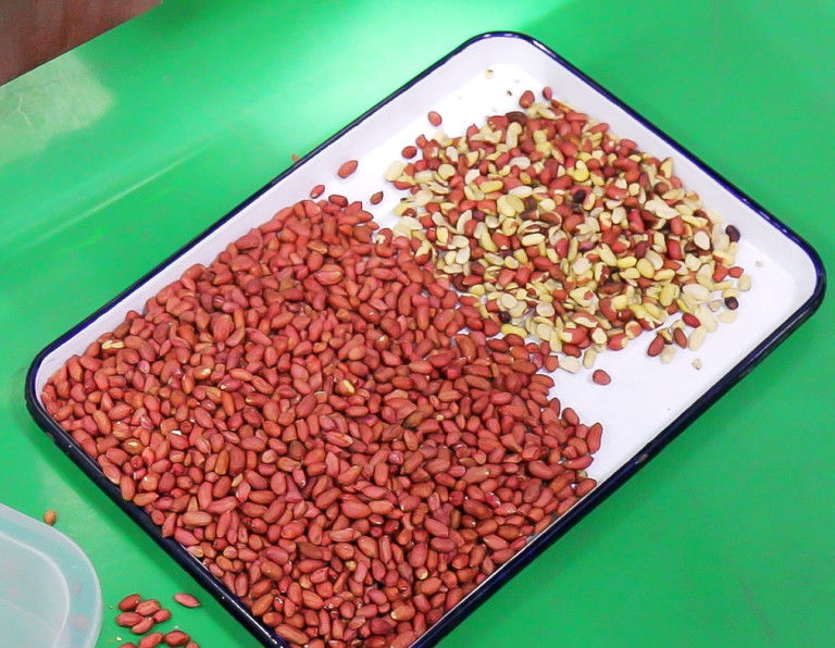 Maquinaria del clasificador del color del cacahuete de la alta exactitud de 5 canales inclinados para clasificar los cacahuetes pelados