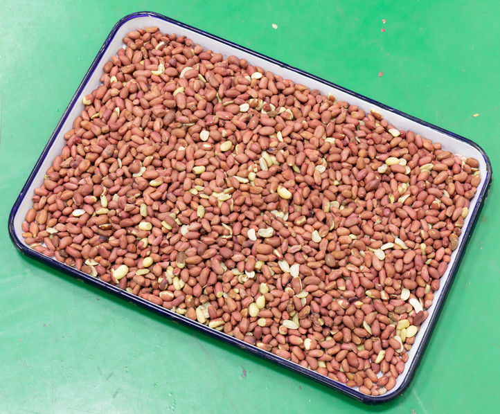 Maquinaria del clasificador del color del cacahuete de la alta exactitud de 5 canales inclinados para clasificar los cacahuetes pelados