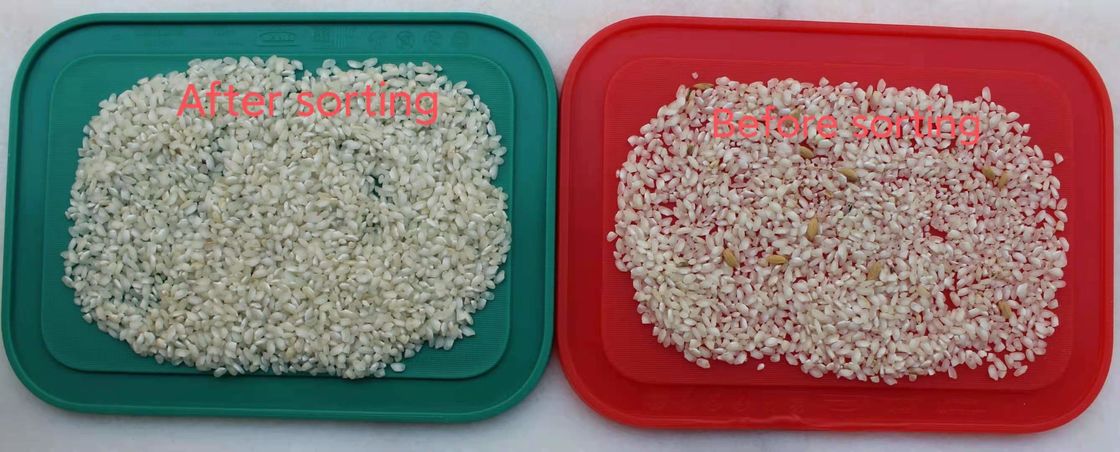 Clasificador pegajoso del color del arroz, equipo de proceso del arroz del RGB de 99,99 exactitudes