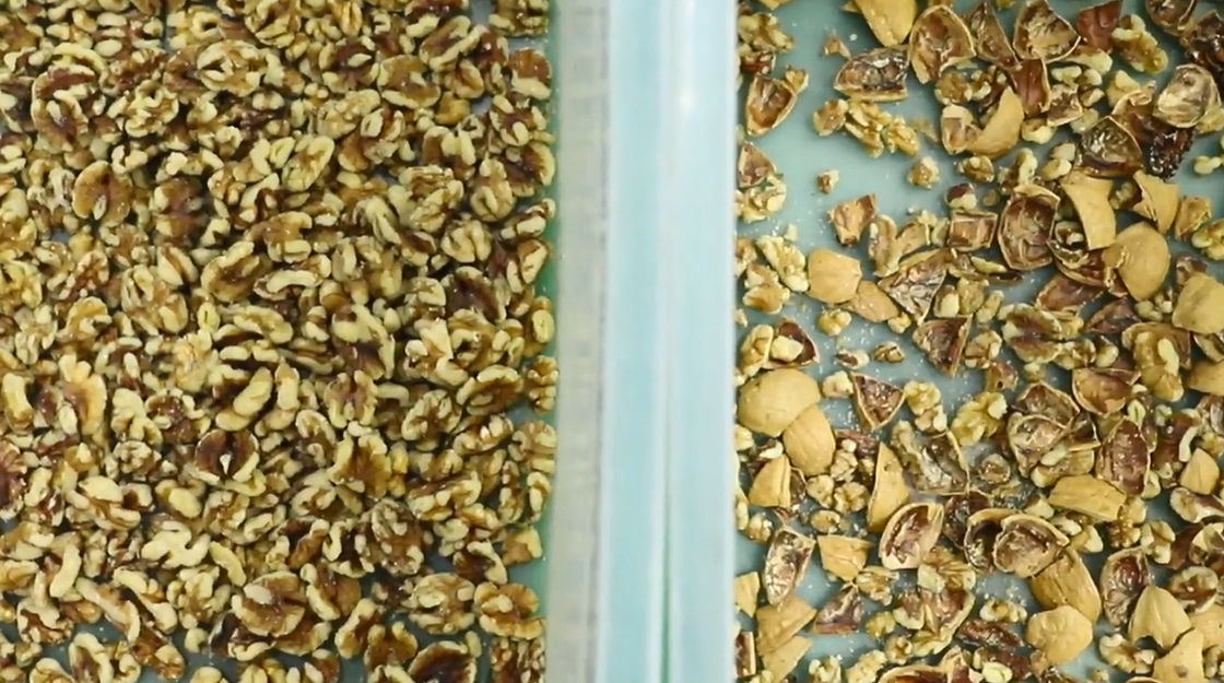 Riñón multifuncional Bean Pistachio Nut Color Sorter del negro de la máquina del clasificador del corazón del cacahuete de las semillas de girasol