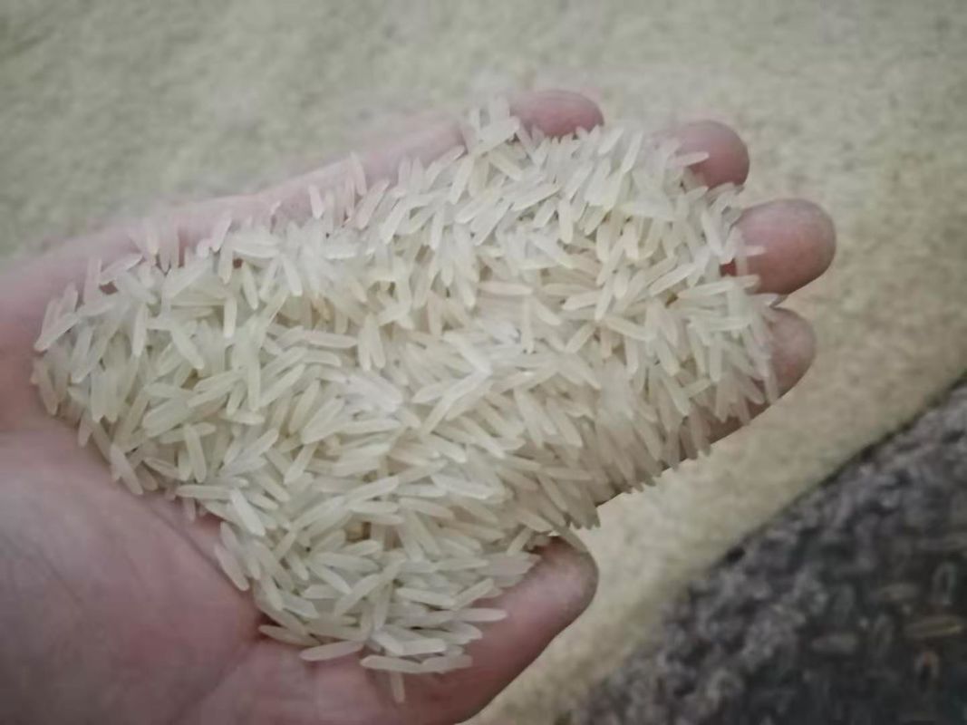 WENYAO Agriculture Rice Color Sorter, máquina multifuncional del clasificador del color del grano