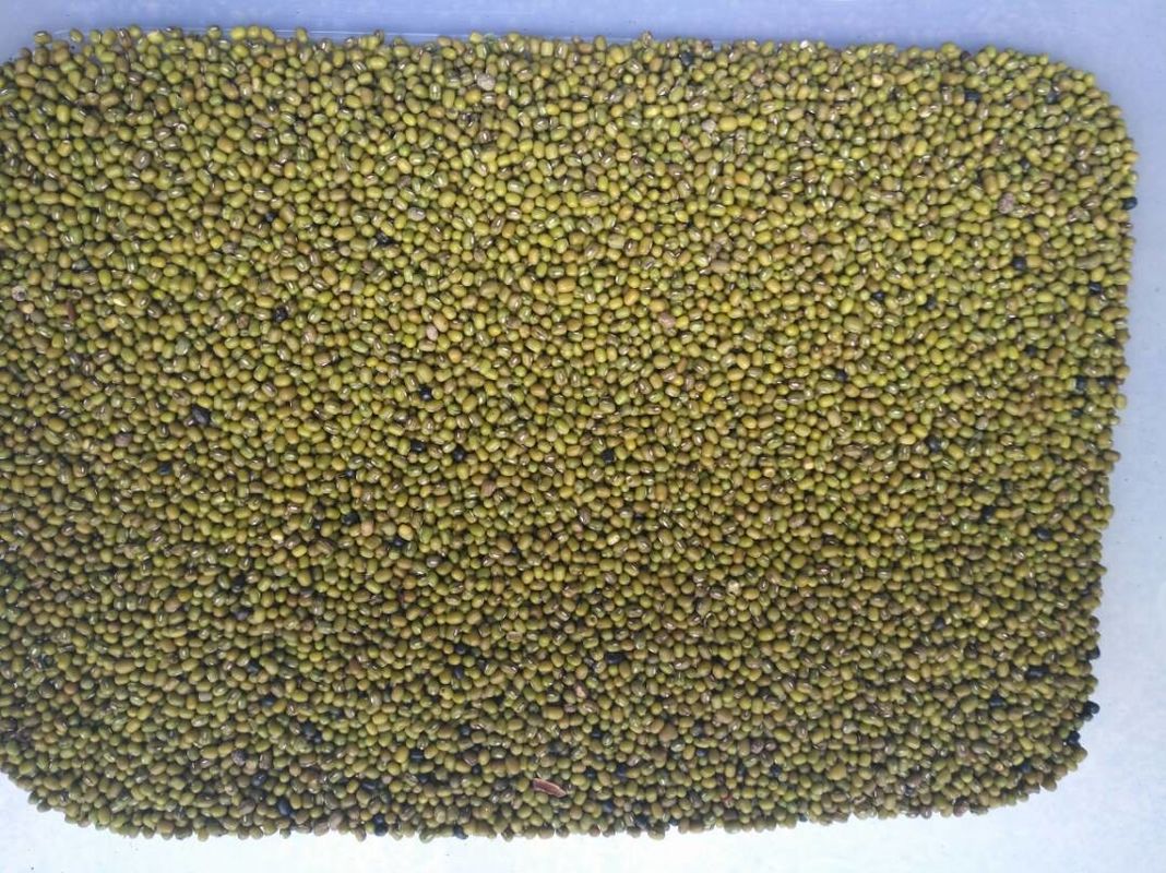 Máquina verde inteligente del clasificador del color de Bean Colour Machine Beans Ccd