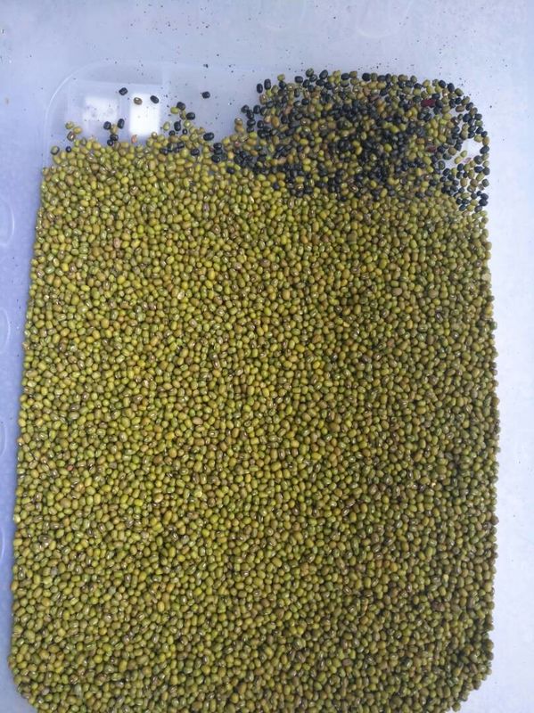 Máquina verde inteligente del clasificador del color de Bean Colour Machine Beans Ccd