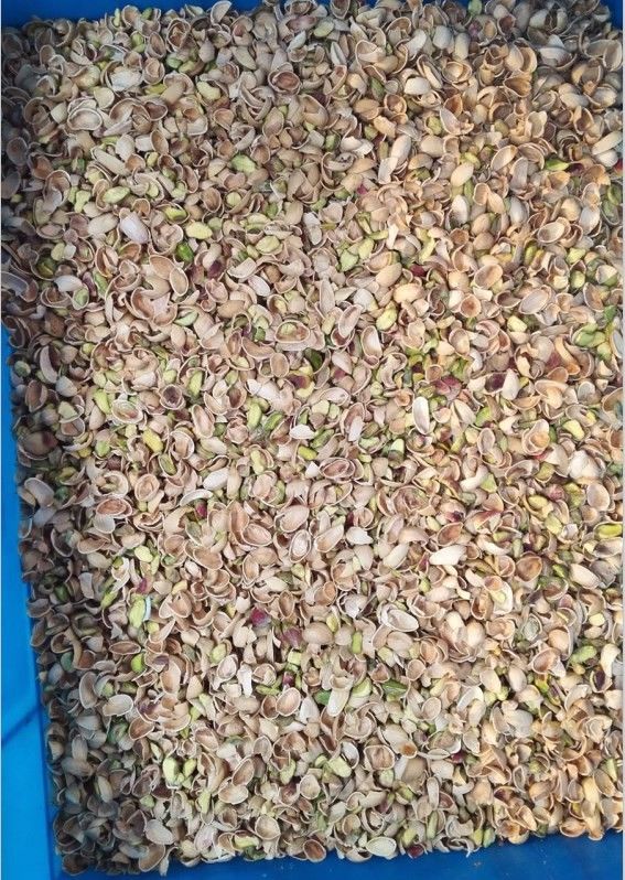 2020 pistachos calientes de la venta colorean la clasificación formando la máquina, nuez de pistacho que separa la máquina