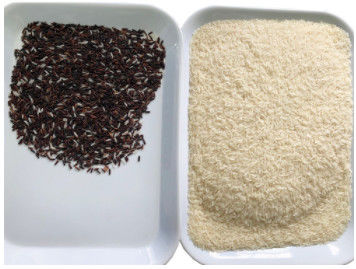 Clasificador del color del arroz de 2 t/h, sensor inteligente del CCD de Toshiba de la clasificadora del color